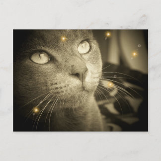 Een wens maken briefkaart