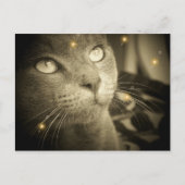 Een wens maken briefkaart (Voorkant)