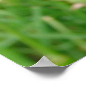 Een wens maken poster (Hoek)