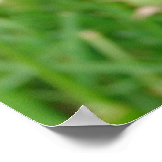 Een wens maken poster (Hoek)