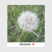 Een wens maken sticker (Vel)