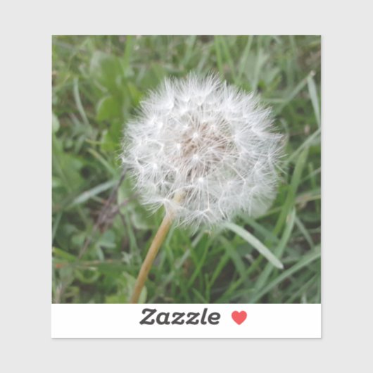 Een wens maken sticker (Vel)