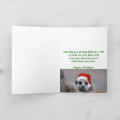 Een wens van Kalahari - de Kaart van de Groeten (Binnen)