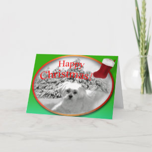 Een wens van Kerstmis Feestdagen Kaart