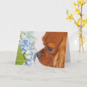 Een Wenskaart met een mooi moment Kaart (Gele Bloem)