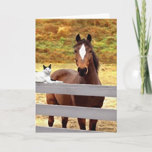 Een "wenskaart van het Paard & van Haar Kat" Kaart (Voorkant)