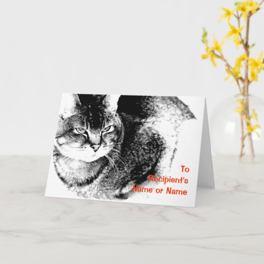 Een  Wenskaart voor "elke gelegenheid" - Kat Kaart (Gele Bloem)