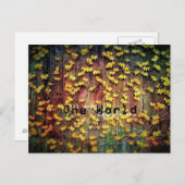 Eén wereld! briefkaart (Voorkant / Achterkant)