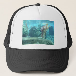 Een wereld onder water - stenen beeld afbeelding trucker pet