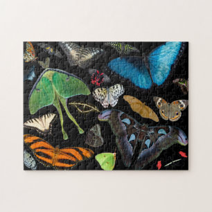 Een wereld van Butterflies en Moths. Legpuzzel