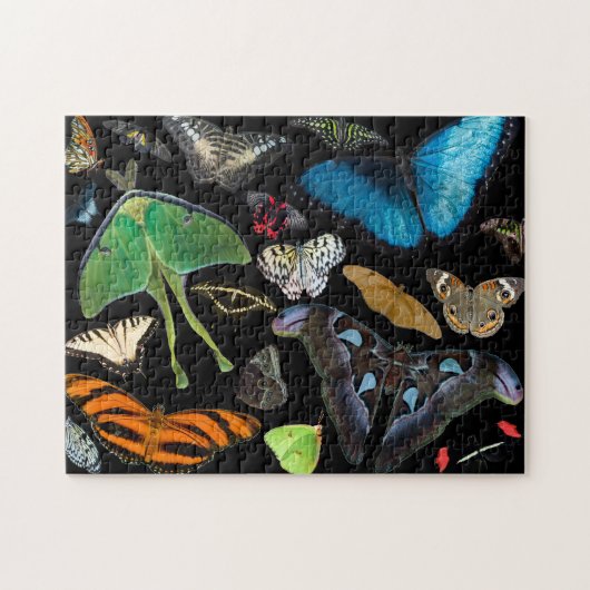Een wereld van Butterflies en Moths. Legpuzzel (Horizontaal)