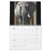 EEN WERELD VAN DIERENkalender Kalender (Mar 2027)
