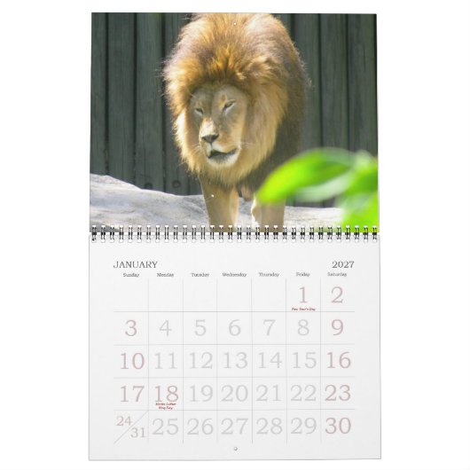 EEN WERELD VAN DIERENkalender Kalender (Jan 2027)