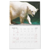 EEN WERELD VAN DIERENkalender Kalender (Feb 2026)