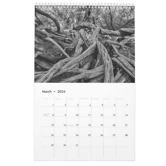 Een wereld van zwart en wit kalender (Mar 2026)