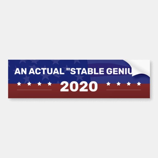 EEN WERKELIJKE "STABLE GENIUS"-politieke campagne Bumpersticker (Voorkant)