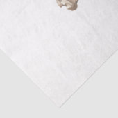 Een  Whiskey Design Series 16 Tissuepapier (Detail)