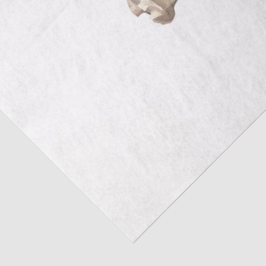 Een Whiskey Design Series 16 Tissuepapier (Detail)