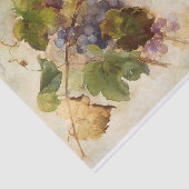 Een wijnstok van druiven door Franz Bischoff Tissuepapier (Detail)