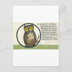 een wijze oude uil briefkaart