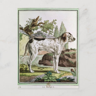 Een wijzer, illustratie uit 'Histoire' Briefkaart