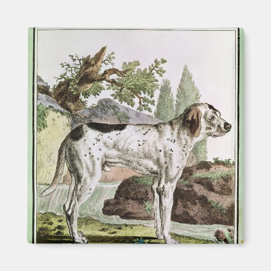 Een wijzer, illustratie uit 'Histoire' Magneet (Voorkant)