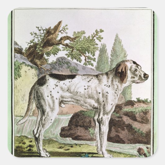 Een wijzer, illustratie uit 'Histoire' Vierkante Sticker (Voorkant)