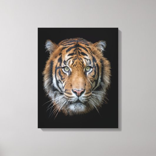 Een wild Bengalen tijgergezicht Canvas Afdruk (Voorkant)