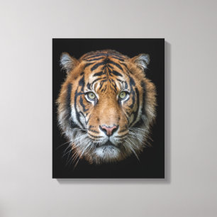 Een wild Bengalen tijgergezicht Canvas Afdruk