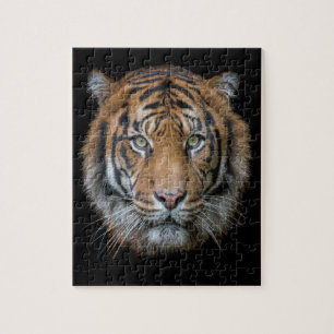 Een wild Bengalen tijgergezicht Legpuzzel