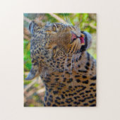 Een wilde Afrikaanse luipaard. Legpuzzel (Verticaal)