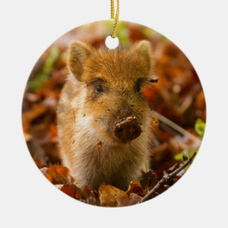 Een Wilde Boar Piglet Sus Scrofa in de herfst Leav Keramisch Ornament