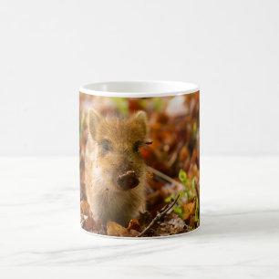 Een Wilde Boar Piglet Sus Scrofa in de herfst Leav Koffiemok