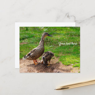 Een wilde eend en haar eendekuiken ansichtkaart briefkaart