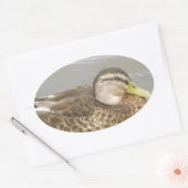 Een wilde eend zwemmen ovale sticker (Envelop)