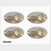 Een wilde eend zwemmen ovale sticker (Vel)