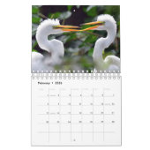 Een Wilde Kalender met foto's van wilde dieren (Feb 2026)