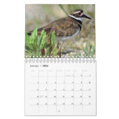 Een Wilde Kalender met foto's van wilde dieren (Jan 2026)