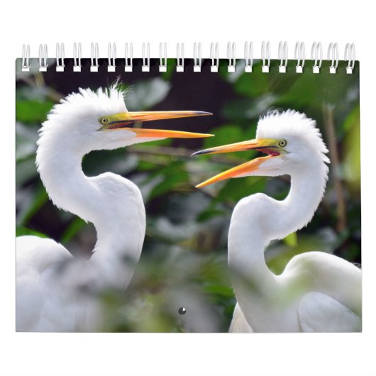 Een Wilde Kalender met foto's van wilde dieren (Hoes)