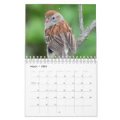 Een Wilde Kalender met foto's van wilde dieren (Mar 2026)