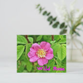 Eén wilde Roos Briefkaart (Staand voorkant)