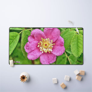 Eén wilde Roos Bureaumat