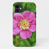 Eén wilde Roos Case-Mate iPhone Case (Achterkant)