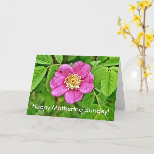 Eén wilde Roos Kaart (Gele Bloem)