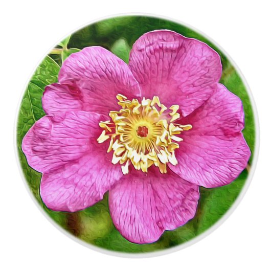 Eén wilde Roos Keramische Knop (Voorkant)