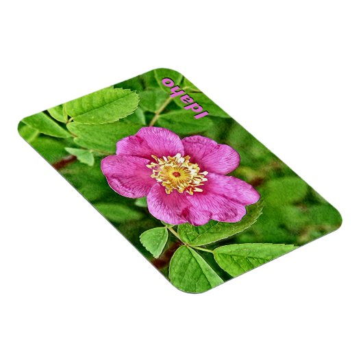 Eén wilde Roos Magneet (Rechterzijde)