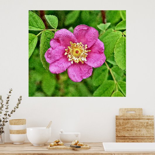 Eén wilde Roos Poster (Keuken)