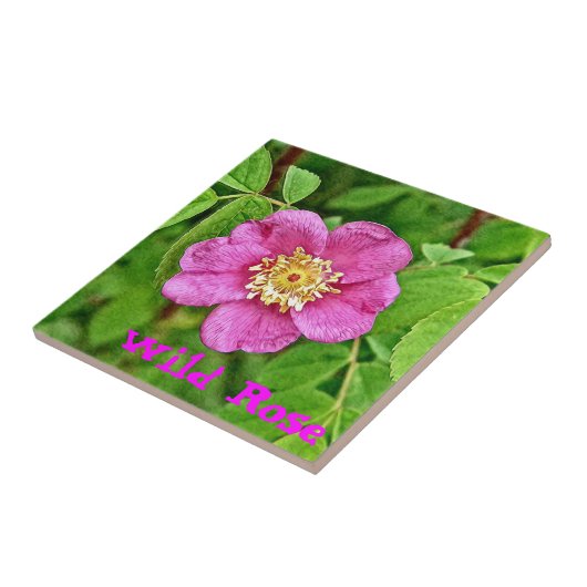 Eén wilde Roos Tegeltje (Zijkant)