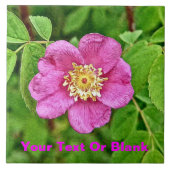 Eén wilde Roos Tegeltje (Voorkant)