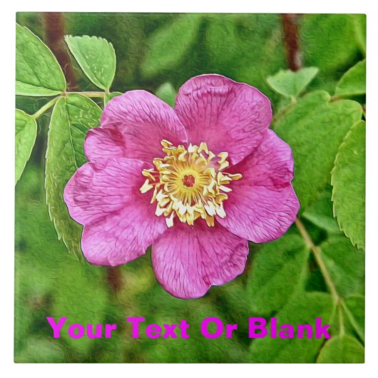 Eén wilde Roos Tegeltje (Voorkant)